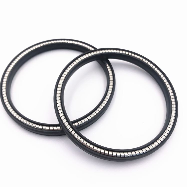 PTFE Spring Energized Seal