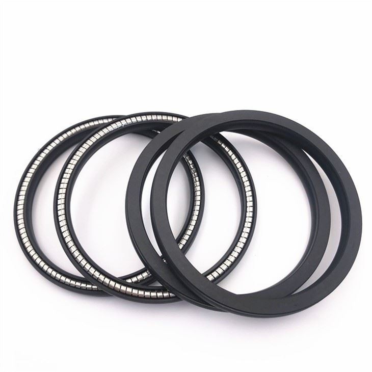 Spring Energized Seal 3
